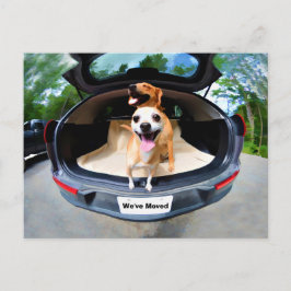 Cute Funny Hundar som söker Flytta på bilrider Vykort