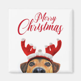 Cute Funny Jul Hund Reindeer Antler Headband Magnet