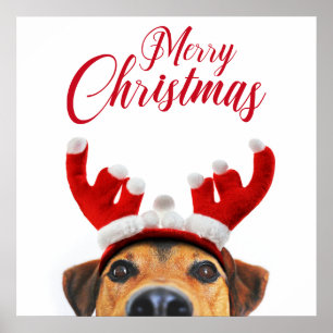 Cute Funny Jul Hund Reindeer Antler Headband Poster