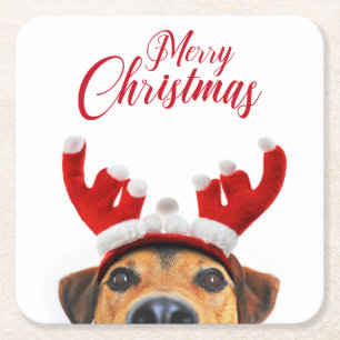 Cute Funny Jul Hund Reindeer Antler Headband Underlägg Papper Kvadrat