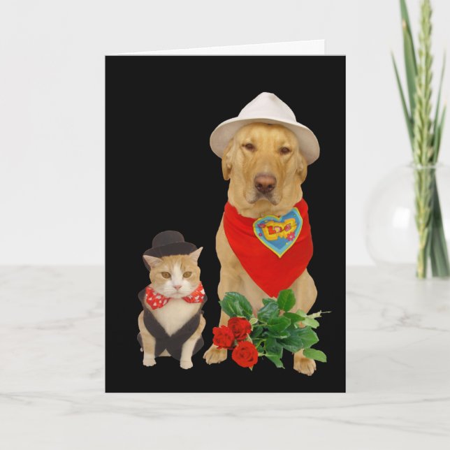 Cute, funny katt och Hund/lab Valentine Helgkort (Framsida)