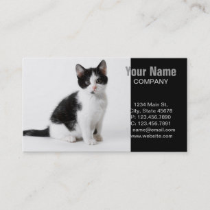 Cute Funny kitten black and white cat Visitkort