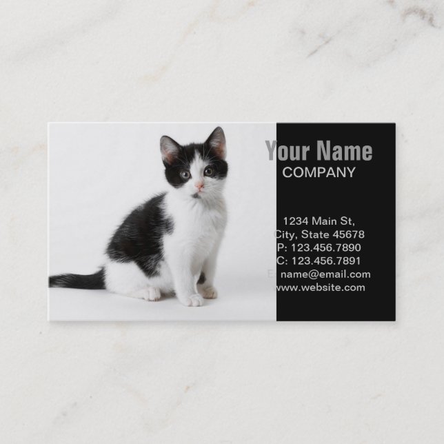 Cute Funny kitten black and white cat Visitkort (Framsida)