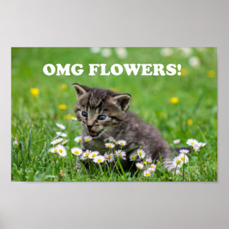 Cute Funny Kitten Loving Flowers Poster
