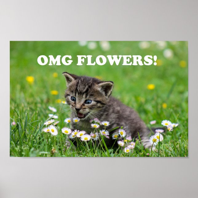 Cute Funny Kitten Loving Flowers Poster (Framsidan)