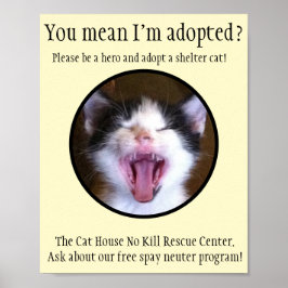 Cute Funny Kitten Photo adopterar en skyddskat Poster
