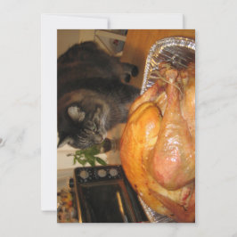 Cute Funny Maine Coon Kattunge Happy thanksgiving