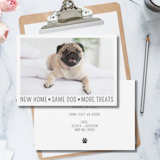 Cute Funny Modern New Home Photo Pet Hund Anteckningskort (Skapare uppladdad)
