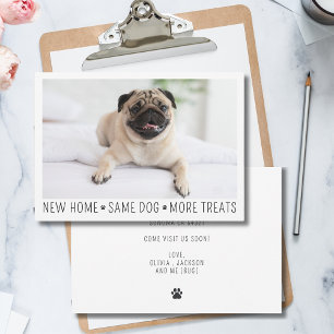 Cute Funny Modern New Home Photo Pet Hund Anteckningskort