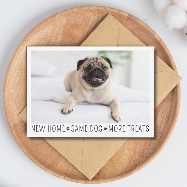 Cute Funny Modern New Home Photo Pet Hund Vykort (Skapare uppladdad)