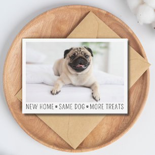 Cute Funny Modern New Home Photo Pet Hund Vykort