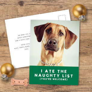 Cute Funny Naughty List Pet Photo Jul Grönt Helg Vykort