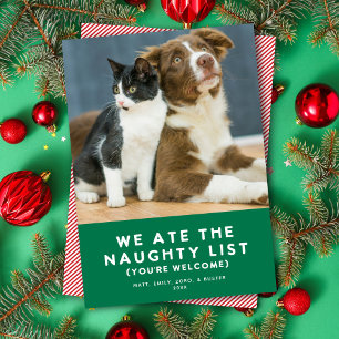 Cute Funny Naughty List Pet Photo Jul Grönt Julkort