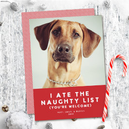Cute Funny Naughy List Pet Photo Jul Red Julkort
