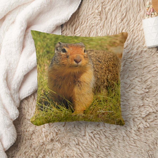 Cute Funny Nyfiken Columbian Ground Squirrel Kudde (Filt)