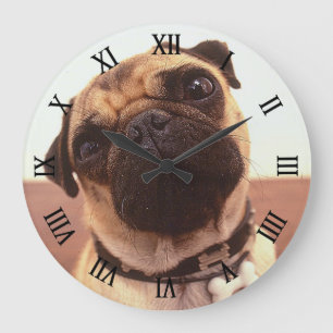 Cute Funny Pug Close-Up Stor Klocka