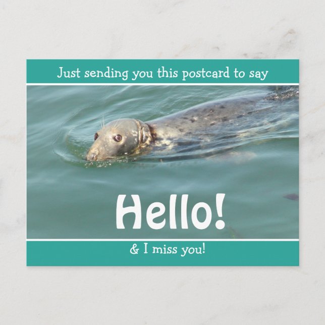 Cute Funny Seal säger bara Hej och miss You Vykort (Framsida)