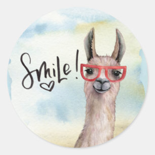 Cute Funny Smile Llama Runt Klistermärke