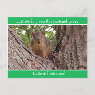Cute Funny Squirrel säger bara Hej och miss You Vykort