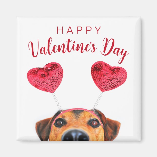Cute Funny Valentine Day Hund Heart Headband Magnet (Framsidan)