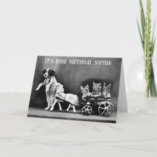 Cute Funny Vintage Hund Cat Pony Birthday Kort