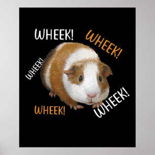 Cute & Funny Wheek - Guineas Gris ägare Cavy Älska Poster