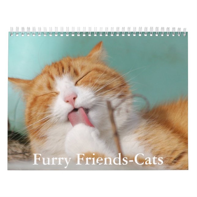 Cute Furry Friends Cat Calendar Kalender (Omslag)