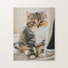 Cute Fuzzy Calico Tabby Kitten Cat Photo Pussel