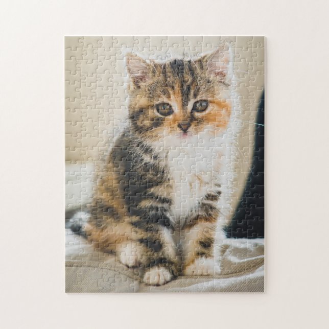 Cute Fuzzy Calico Tabby Kitten Cat Photo Pussel (Vertikal)