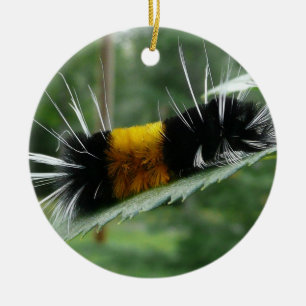 Cute Fuzzy Caterpelare Julgransprydnad Keramik