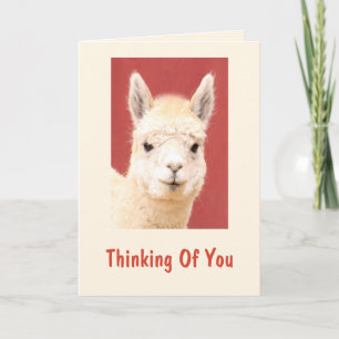 Cute Fuzzy Llama kommer bra Kort