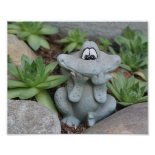 Cute Garden Frog Succulent Garden 8x10 Fototryck