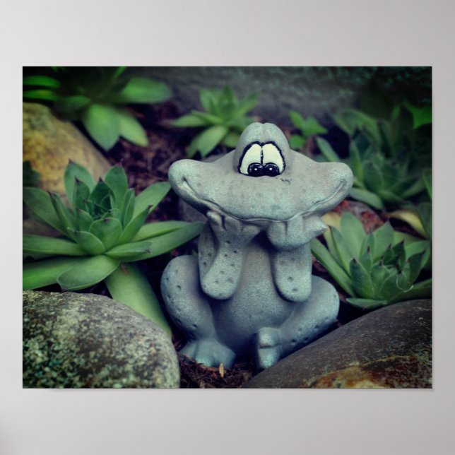 Cute Garden Frog Succulent Garden Poster (Framsidan)