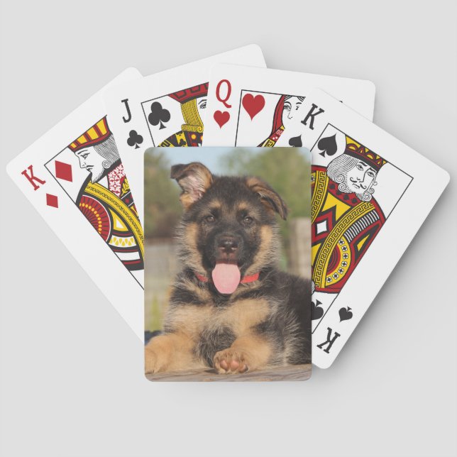 Cute German Shepherd Puppy Hund Casinokort (Baksidan)