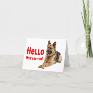 Cute German Shepherd Puppy Hund Hej Kort