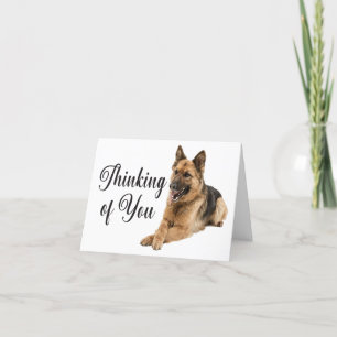 Cute German Shepherd Puppy Hund... Kort