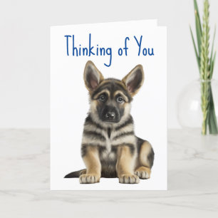 Cute German Shepherd Puppy Hund... Kort