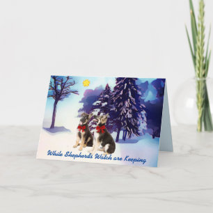 Cute German Shepherd Valper jul Kort