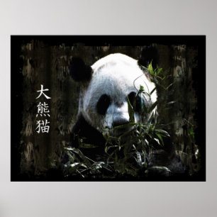 Cute Giant Panda Bear med tasty Bamboo Löv Poster
