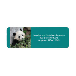 Cute Giant Panda Bear, Turkos, Returadress Etikett