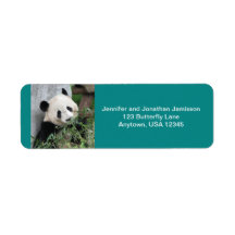Cute Giant Panda Bear, Turkos, Returadress