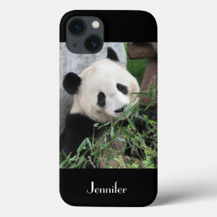 Cute Giant Panda Black Background