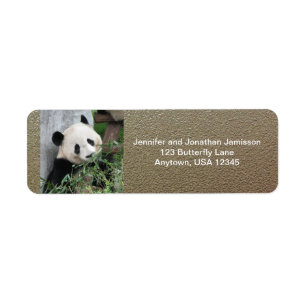 Cute Giant Panda, Faux Chrome Returadress Etikett