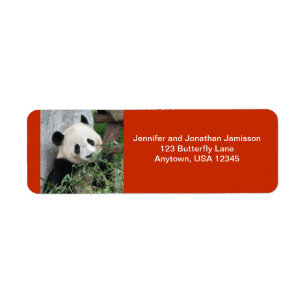 Cute Giant Panda, Orange Returadress Etikett