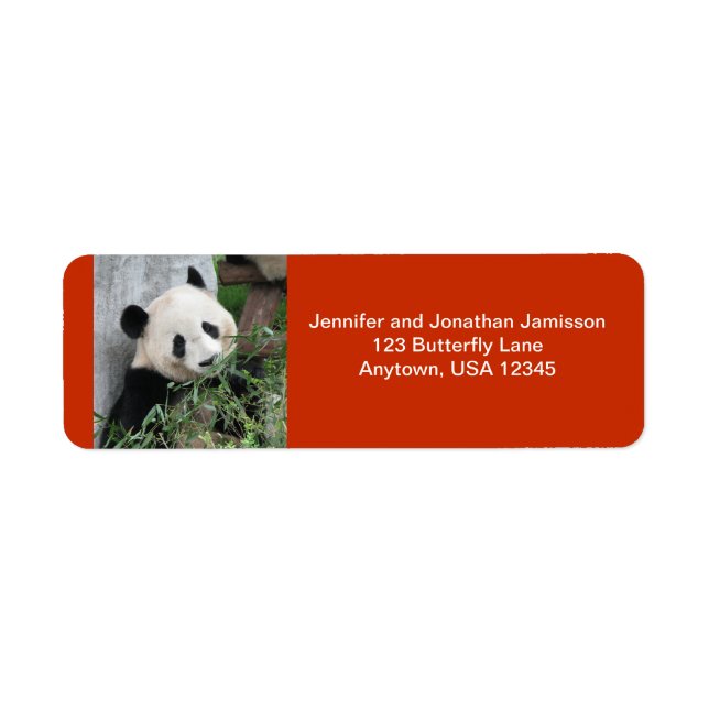 Cute Giant Panda, Orange Returadress Etikett (Framsidan)