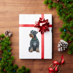 Cute Giant Schnauzer i en julsötare Presentpapper