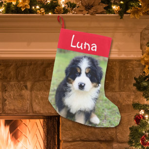 Cute Gift för Berner Älskare Female Bernese Ansikt Liten Julstrumpa