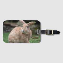 Cute Ginger bunny med stort öron Bagagebricka