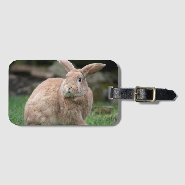 Cute Ginger bunny med stort öron Bagagebricka (Framsida horisontal)