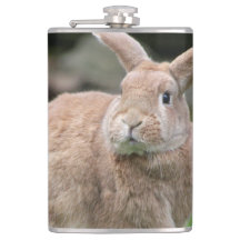 Cute Ginger bunny med stort öron